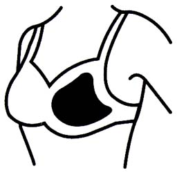 [Image: Black and white line drawing 
        of Asymmetric triangle form in a bra]