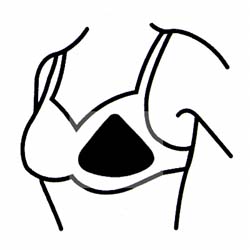 [Image: Black and white line drawing 
        of Symmetric triangle form in a bra]